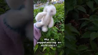 Can anyone recommend where to start for marionette puppetrybunbuns bunny plush [upl. by Htrowslle]