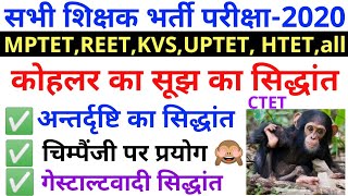 कोहलर का सूझ एवम अंतर्दृष्टि का सिद्धान्त INSIGHT THEORY KOHLAR THEORY TET CTET EXAM [upl. by Doloritas602]