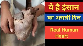 Real Human Heart  Explained by MBBS Students [upl. by Sidonnie566]