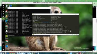 Console abilitare la forza dell Auto Complete con Docker e WSL1 sotto Windows10 [upl. by Sikata]