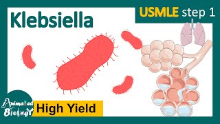 Klebsiella  klebsiella pneumoniae  clinical presentation risk factors and treatment of Klebsiella [upl. by Hutson547]