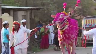 bagad satara mardhe yatra 2018 [upl. by Yllehs]