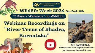 Webinar on quotRiver Terns of Bhadra Karnatakaquot by Mr Karthik N J [upl. by Eng241]