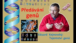 Jak předáváme geny Tajemství genů 97 [upl. by Jaddo]