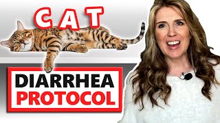 Help My Cat Has Diarrhea  What Should I Do [upl. by Jabin]