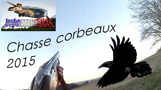 Chasse Tir de corvidés 2015 [upl. by Ennovahs]