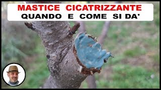 COME SI APPLICA IL MASTICE CICATRIZZANTE [upl. by Corabel]