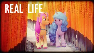 MLP G5 Ponies in Real Life [upl. by Villada]