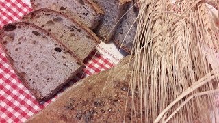 pane integrale con grano saraceno e lievito madre [upl. by Ahsinrev754]