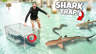 I Caught a SHARK in a Fish Trap [upl. by Enahsed813]