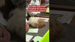 Le 52e salon de la bassecour et de la biodiversité à Nevers [upl. by Endaira718]