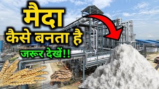 फैक्ट्री में मैदा कैसे बनता हैं  How maida is made   by VitalGyan [upl. by Kalie]