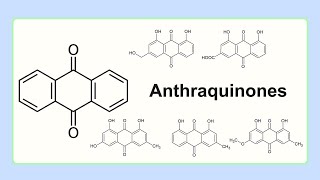 anthraquinones [upl. by Odel]