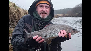 NEARLY SCOTTISH RECORD  3lb 10oz Grayling  ARGHHHHHHH [upl. by Slade723]