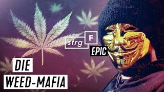 WeedMafia Wie blutig ist unser Gras  STRGF EPIC [upl. by Towroy765]