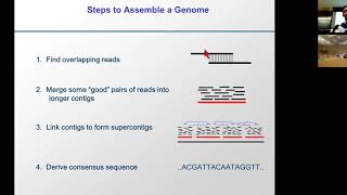 MIT CompBio Lecture 18  Genome Assembly Evolution Duplication [upl. by Mccomb]