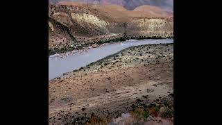 Saryjaz river at Enylchek nature travel mountains river roadtrip relax [upl. by Adlei]