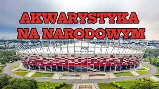 Targi akwarystyczne na stadionie narodowym 3032024 [upl. by Ricker461]