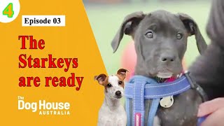 The Dog House Australia  Season 4 Episode 03 The Starkeys are ready [upl. by Irb]