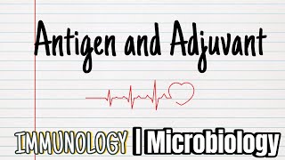 Antigens and Adjuvants  Epitopes and Haptanes  Immunology  Microbiology [upl. by Evilc]