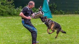 Demonstratie Pakwerk VDH Kringgroep Kennemerland Heemskerk [upl. by Halda800]