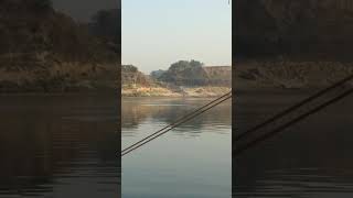 The elusive Bottlenose Dolphin of the Ganges River India [upl. by Elonore569]