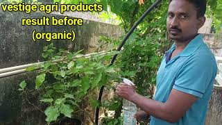 వెస్టిజ్ అగ్రికల్చర్ ప్రోడక్ట్స్ రిసల్ట్ vestige agri products resultsorganic organicfarming [upl. by Nairod]