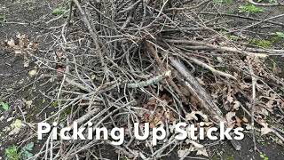 Picking up sticks in the spring  BEST Method [upl. by Iramat]