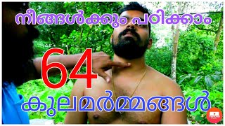 varma kalariEp231 അറുപത്തിനാല് കുലമർമ്മങ്ങൾ നിങ്ങൾക്കും പഠിക്കാംVinayan Gurukkal9387694314 [upl. by Nilrak]