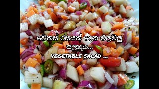 වෙනස් රසය දෙන එලවලු සලාදය… vegetable salad [upl. by Ecela747]