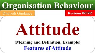 Attitude meaning attitude definition attitude types components of attitude features OB [upl. by Eelynnhoj]