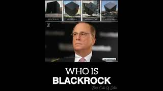 💀 BLACKROCK  SILENT GIANT CONTROLLING 90 of MEDIA WORLDWIDE 💩 [upl. by Elana155]