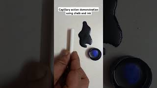 Capillary actiondemonstration using ink and chalk [upl. by Eittah]