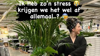 OP EDELSTENEN INKOOP amp GAAT DE WINKEL WEL OPTIJD AF KOMEN 😰 WINKELVLOG 3  LOLA PANI [upl. by Aluor]