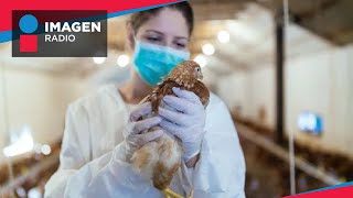 ¿Qué es la gripe aviar H5N2 y cómo se contagia [upl. by Attolrac304]