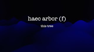 Mastering Latin Declension of HAEC ARBOR [upl. by Nyloj]