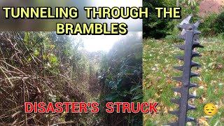 CREATING A HUGE TUNNEL THROUGH BRAMBLES [upl. by Patsy840]