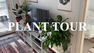 Plant tour  Winter plant care  Living alone in Helsinki [upl. by Tegirb]