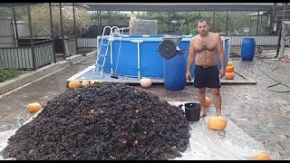 Red Wine at Home  How to Make Wine  GEORGY KAVKAZ [upl. by Corey950]