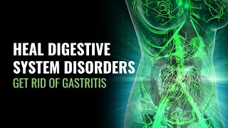 Heal Digestive System Disorders  Get Rid of Gastritis  Detox Out Your Digestive Tract  528 Hz [upl. by Dugaid]