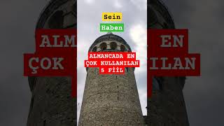 Almancada en çok kullanılan 5 fiil sizce ne🇩🇪almancakolay almancapratik almancaogreniyorum [upl. by Yecnahc]