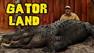 Rare GIANT Alligators at Gatorland Orlando zoo Jay is Living the dream [upl. by Wilcox495]