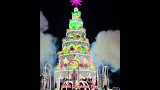 Giant Christmas Tree Lighting in Ormoc City Merry Christmas [upl. by Russ]