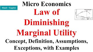 Law of Diminishing Marginal Utility Law of Diminishing Returns law of diminishing returns economic [upl. by Akiehs]