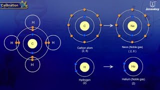 Catenation  Science For Grade 10  Chemistry [upl. by Nam]