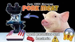 Fresh pork under the microscope😯microscope parasite bactria [upl. by Recha]