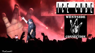 Ice Cube Live During The Straight Into Canada Tour In Enoch Alberta February 24 2024 [upl. by Hogan666]