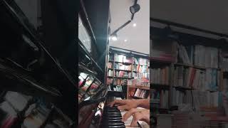 Chopin Nocturne Op 9 No 2 Piano [upl. by Samuella]