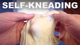 How an autolyse kneads your dough for you [upl. by Dnalro]