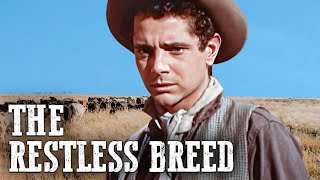 The Restless Breed  Scott Brady  Classic Movie [upl. by Judie423]